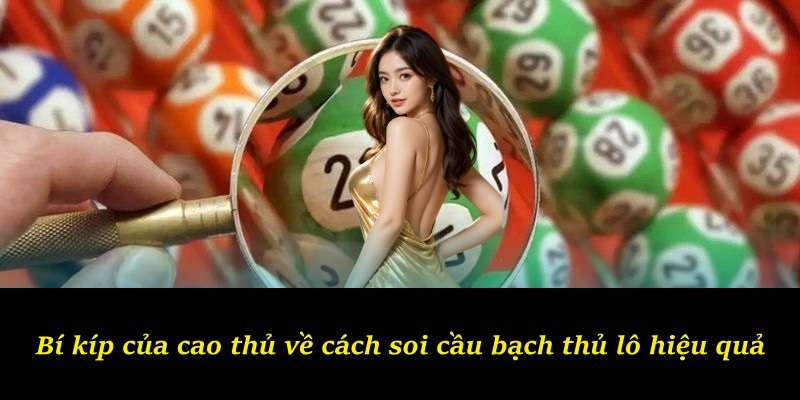 Bí kíp của cao thủ về cách soi cầu bạch thủ lô hiệu quả