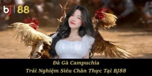 Đá Gà Campuchia – Trải Nghiệm Siêu Chân Thực Tại BJ88