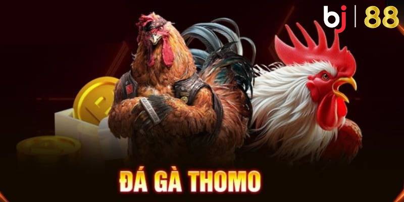 Đà gà Thomo là gì?