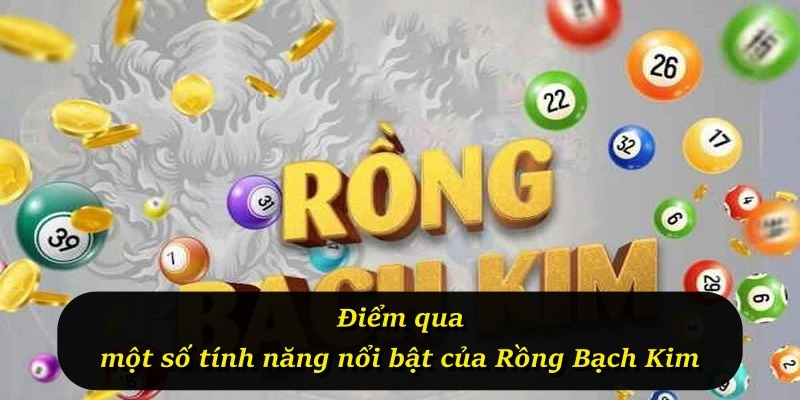 Điểm qua một số tính năng nổi bật của Rồng Bạch Kim