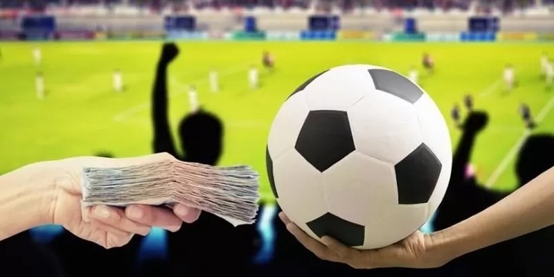 Những sai lầm của tân binh thường gặp khi đọc kèo nhà cái