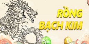 Rồng Bạch Kim – Kiến Thức Chơi Lô Cực Kỳ Hiệu Quả Tại BJ88