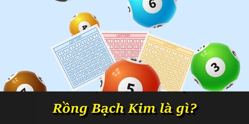 Rồng Bạch Kim là gì?